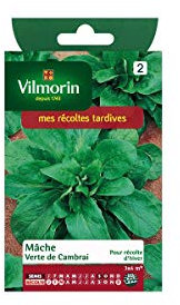 Vilmorin - Sachet graines Mache verte de Cambrai