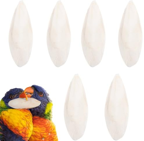 IKOPFLN 6 pièces os de Seiche, 10 cm, accessoires pour perruches, os de calmar pour jouets à mâcher pour oiseaux