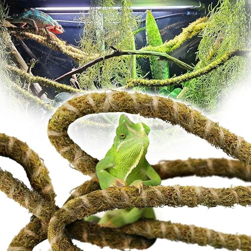 DUSPRO 10FT Reptile Vines Climbing Bendable Branch Reptile Natural Moss Rope Jungle Decor Bearded Dragon, Chameleon Tank Accessories Amphibian Habitat - Snake Gecko Lizard Terrarium (AS)