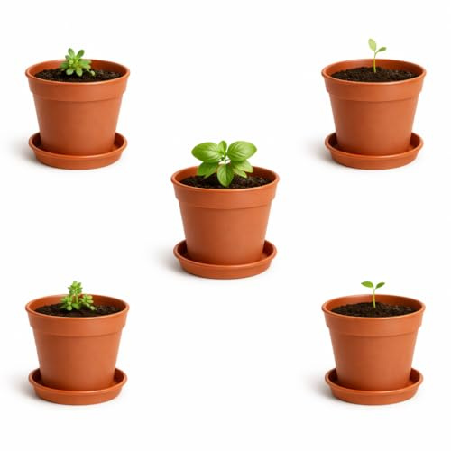 ACCURATE Terracotta 5 inch Plant Pots & Saucers Set (5 Pots + 5 Saucers) – Ideal for Cuttings, Seedlings & Indoor Plant Growing
