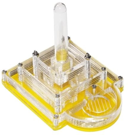 Ameisenfarm Formicarium Transparente Ameisenfarm, Ameisenburg Aus Acryl, Einfache Installation, Beobachtung Lebender Ameisen, Natürliches Lernameisennest Ameisenfarm für Draußen