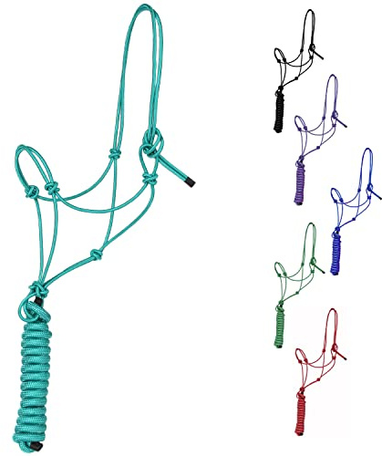 Majestic Ally 1/4 Rope 4 Knot Stiff Polyester Training Halter with 10’ Matching Lead Rope for Horses – Full (Turquoise, Full)