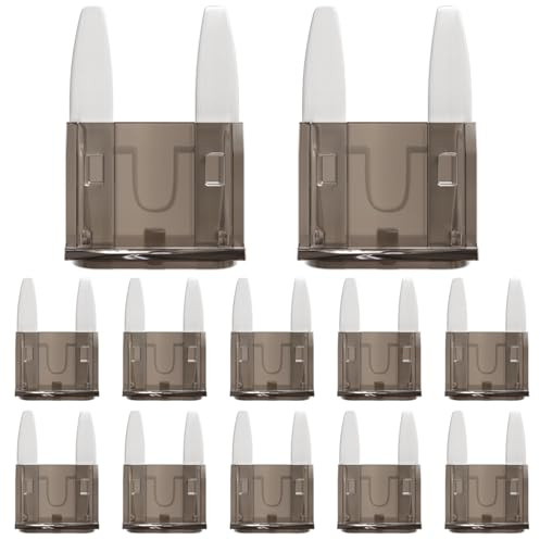 ALLECIN 50Pcs 2A Mini Car Fuses 2Amp MINI Blade Fuse 2Ampere Automotive Auto Fusibles for RV Vehicle Motorcycle Truck