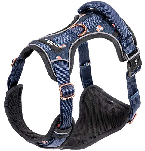 FREUDENTIER Hundegeschirr mit Griff & atmungsaktiver Polsterung - Höchster Komfort, Fester Sitz & maximale Sicherheit - Anti Zug Geschirr - Let's get Foxy Kollektion