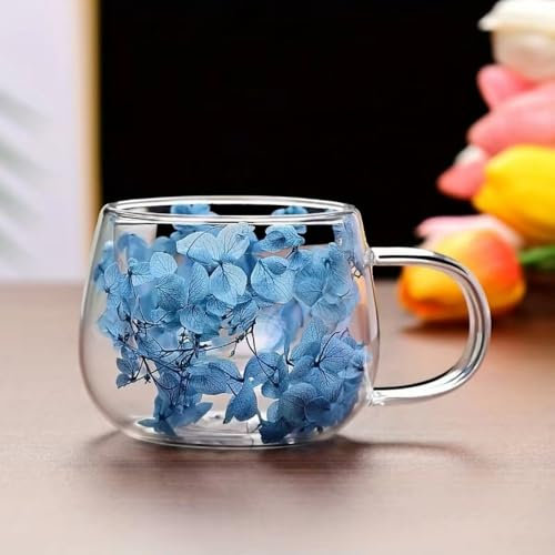 RYHMHA Double Walled Glass Coffee Mug, Dried Flowers Double Insulated Mug, Set of 2 with Spoon, for Hot and Cold Drinks, Cappuccinos, Lattes, Juices (Blue)