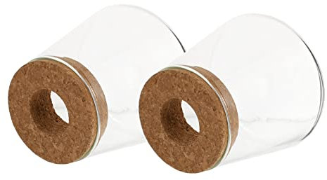 MAGICLULU 2stücke Teiliges Glas-ökosystem Für Pflanzen Stilvolle Transparente Hydroponik-vase Für Desktop Zur Präsentation Von Pflanzen in Hotels Restaurants Stilvolle Heimdekoration