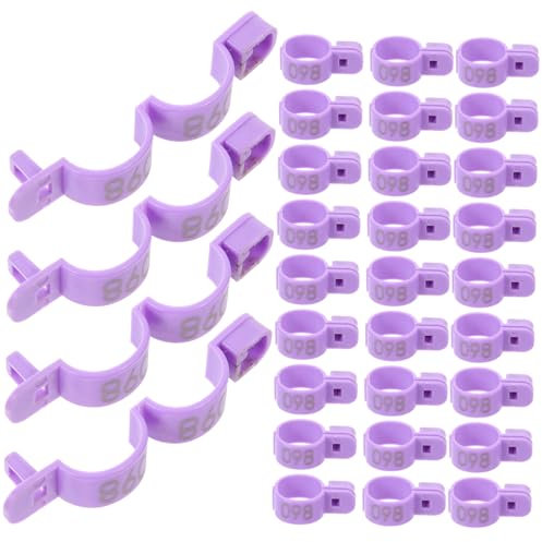 OFFSCH Hühnermarken Für Beine – 100 Stück Beinbänder Für Geflügel Wiederverwendbar Leuchtende Farbe Einfache Identifizierung