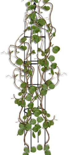 Obelisco de jardín rejilla de metal de 3 tamaños, revestimiento de PE para plantas trepadoras, jaula de marco de metal de 10 pulgadas de diámetro para plantas exteriores, vides, rosas, jardín de