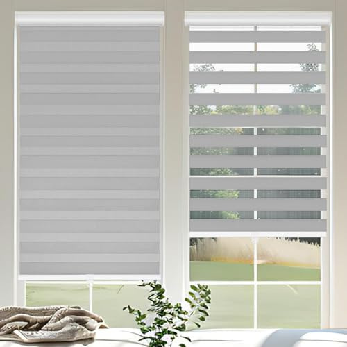 OUDUCK Cordless Zebra Blinds for Windows, 50 W x 72 H Zebra Roller Shades with Valance Free Stop Zebra Roller Shades, Light Control Window Treatments Dual Layer Sheer Blinds for Day and Night, Grey