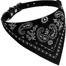 Collar Ajustable para Gatos y Perros, Ligero, cómodo y Seguro, Ideal para Interior y Exterior, Gargantilla de 20 a 26 cm, diseño Elegante para felinos