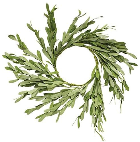 CWI Gifts Leaves Twig Wreath Rings - 16 inch - Wreath Decor for Front Door and Candle Decorating - Foamy Willow