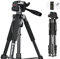 Moman Treppiedi Fotocamera, TP59F Camera Treppiede in Alluminio Leggero con Testa di 150cm di Altezza Treppiede Fotografico DSLR Massima 5KG Treppiede da Viaggio Portatile Regolabile