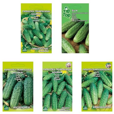 Nojus Lot de graines de concombre - 5 variétés - Kit de démarrage de graines de concombre variées - 5 paquets - Graines de jardin Plantes - Graines Boîte de légumes 5 variétés