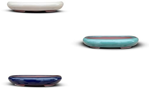 BIOMATA Vasi Bonsai Ceramica per Mame e Shohin 13,5 x 10 x 2,2 cm | Set 3 vasi ovali | Vasi resistenti a qualsiasi clima | Vasi Bonsai in ceramica con drenaggio