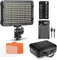 Neewer Dimmable 176 LED Video Light 5600K on Camera Light Panel Compatible with Canon Nikon Pentax Panasonic Sony and Other Digital SLR Cameras for Photography