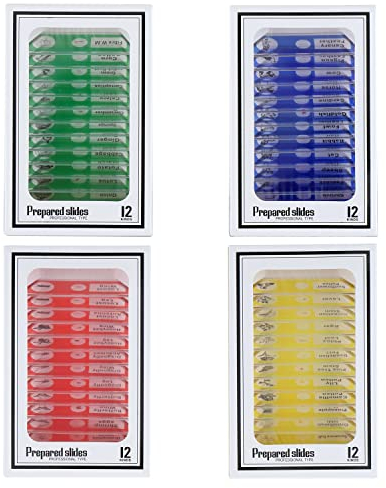HUAREW 48 PCS Kunststoff Präparierte mikroskope Objektträger Wissenschaftliche Ausbildung für Kinder,mit Insekten, Tieren, Blumen,Pflanzen, Gemüse
