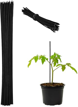 Relaxdays Pflanzstäbe, 100er Set, HxD 30 x 0,5 cm, Rankhilfe für Jungpflanzen, mit Bindedraht, Bambusstäbe, schwarz