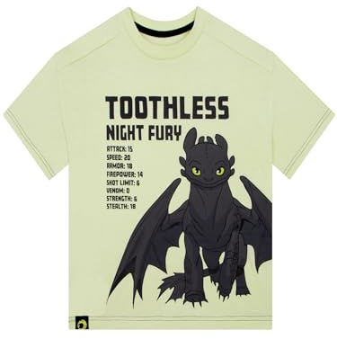 How To Train Your Dragon Boys Tshirt, Toothless Kids T Shirt, Kids Clothes for Summer, Cotton Summer Top, Green 9-10 Years