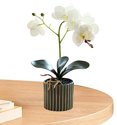 Weduspaty Konstgjord orkidéblomma i kruka, realistisk konstgjord orkidé i en kruka verklig touch dekorativ bonsai falska blommor för bordsuppsatser vardagsrum heminredning vit