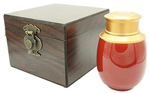 ZHIQIYI Urne souvenir, petite urne à cendres humaine ou animal domestique, fabriquée à la main, avec boîte en bois, décoration pour la maison ou le bureau (rose rouge)