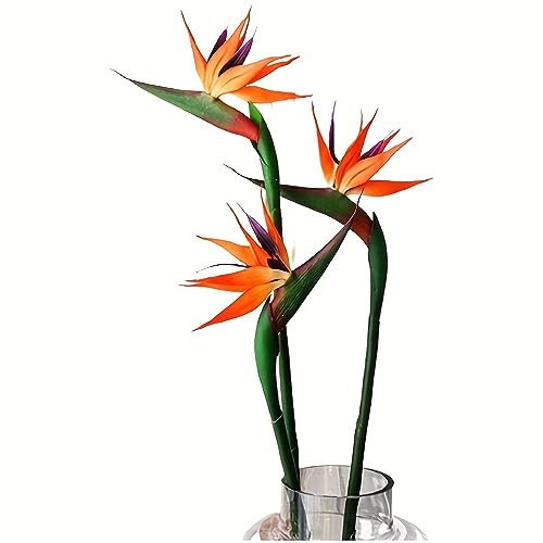 HAOSHICS 3 fiori artificiali di uccello del cielo, Strelitzia uccello del paradiso, piante in seta sintetica per la casa, ufficio, matrimonio, decorazione del centrotavola