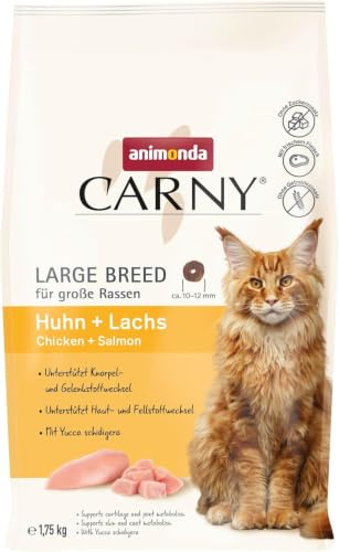 animonda Carny Cibo secco per gatti pollo + salmone (1 x 1,75 kg), cibo secco per grandi razze di gatti senza zucchero e cereali, con molta carne fresca e pesce