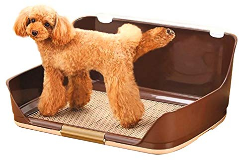 Hundetoilette Indoor Dog Potty Tray, tragbare Hundetoilette mit Schutzwand an jeder Seite für kein Leck Halten Sie die Pfoten trocken und den Boden sauber, für Hunde und kleine Haustiere