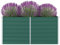 WIFESE Hochbeet 160x80x77 cm Verzinkter Stahl Grün Hochbeet Metall Hochbeete für Garten Pflanzenbett Kräuterbett Blumenkiste Dekorieren Eingang Balkon Terrasse Garten Stilvoll & Langlebig