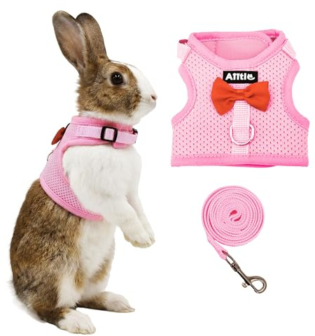 AIITLE Ensemble harnais et laisse avec nœud mignon, harnais en maille douce et respirante pour lapins, chatons, furets, chiots et petits animaux de compagnie, rose, taille L