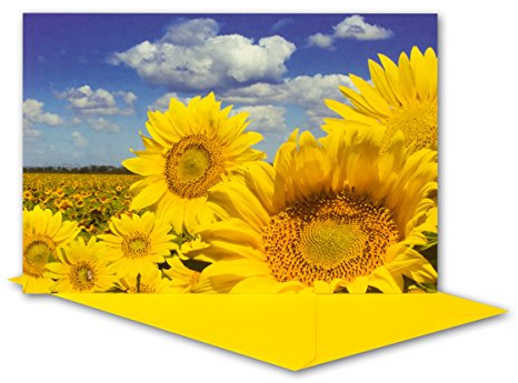 Glückwunschkarte 10 Set mit Umschlägen Gelb - Dankeskarte Motiv Blume gelbe Sonnenblume - Klapp-Karte DIN B6 17,0 x 11,5 cm - Grußkarte für Geburtstag Hochzeit Geburt Taufe Kommunion Ruhestand