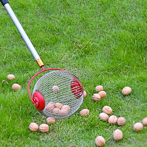 Collecteur de noix, ramasse-noix, cueille-fruits, collecteur de fruits en alliage de jardin rétractable pour ramassage de châtaignes, noix de pécan, glands (tige d'extension+grosse rotule)