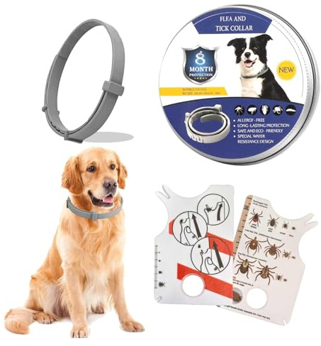 Collier Anti-puces et Anti-tiques pour Grand Chien, 1 Collier réglable pour Une prévention de 8 Mois, 2 Outils Portables pour éliminer Les tiques, indispensables pour Les activités de Plein air