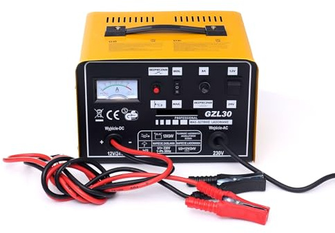 CARICABATTERIA CARICA BATTERIE 12V 24V 30A PER AUTO CAMION CAMPER SCUOTIOLIVE 90-250Ah