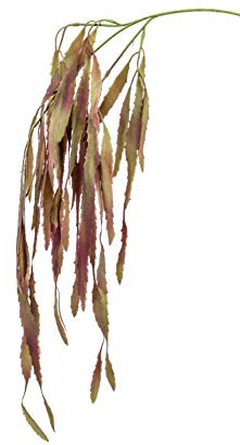 artplants.de Dekorativ gren Rhipsalis EHUD, brun-lila, 80 cm