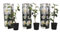 Plant in a Box - Japanische Kamelie 'Brush Field' Weiß - 3er Set - Kamelie rose pflanzen - Winterhart - Gartenpflanzen - Topf 9cm - Höhe 25-40cm