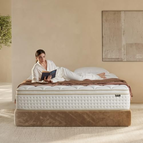 14 Inch Queen Mattress, Medium Firm Hybrid Queen Size Mattress with Memory Foam for Pressure Relief & Spinal Alignment - Supportive Without Sinkage, Superior Zoned Support, Extra Lumbar Support