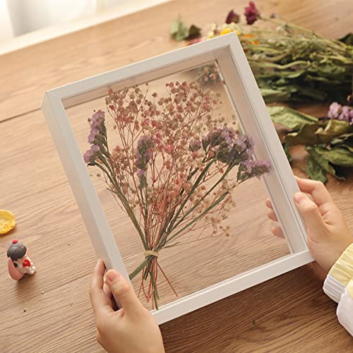 LuminescentDream svävande ram, växt-torkade blommor-mönsterram, glas fotoram display, trä torkade blommor fotoram torkade blommor utställningsstativ dekorativ flytande bildram