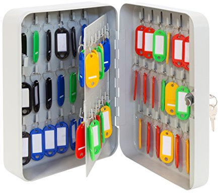 Arregui PLL60 Cassetta Portachiavi con Ganci Fissi | 60 Chiavi | Cassetta di Sicurezza per Chiavi da Muro | Appendichiavi da Parete | Portachiavi Inclusi | Armadietto per Chiavi | 25x18x8 cm | grigio