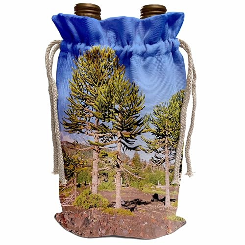 3dRose Monkey Puzzle trees, Conguillo National Park, Chile - SA05 MZW0071 - Martin Zwick Wine Bag