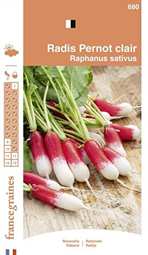 France Graines - Radis Pernot Clair