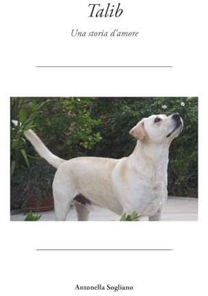 Talib, una storia d'amore