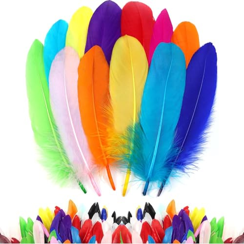 100Pcs Feathers for Crafting, Soft Coloured Feather, Craft Feathers, for Fantasy Ornament Dream Catchers Earring Wedding Party DIY Art Crafting Gift Box Filling Decoration, 10-15cm