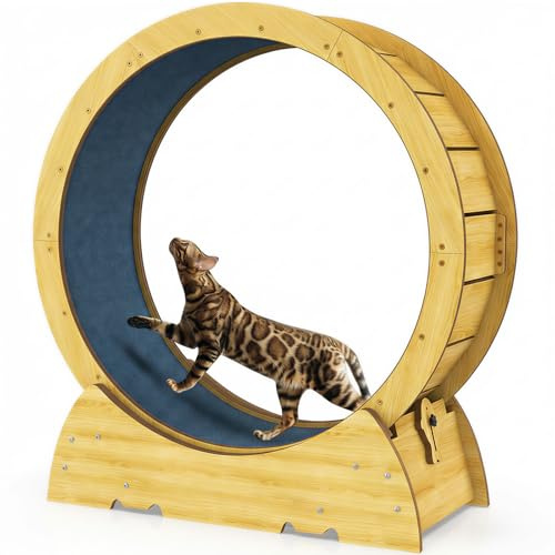 Cat Exercise Wheel for Indoor Cats - Cat Treadmill Wheel with Detachable Carpeted Runway - Natural Solid Wood Sturdy Running Wheel for Running/Walking/Training - Suitable for Most Cats, 36