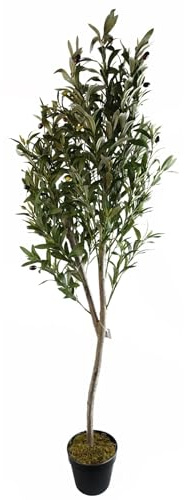 Leaf Design UK svart plastkruka, 180 cm konstgjord naturlig look olivträd med trästam