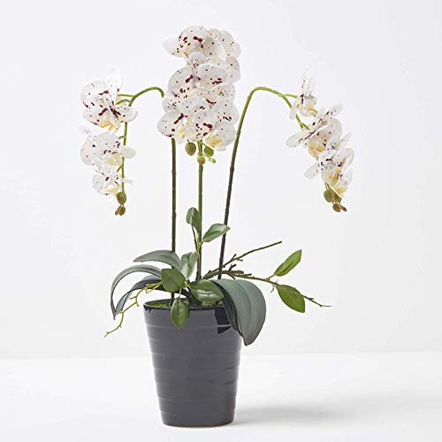 HOMESCAPES Artificial White Orchid in Pot 56 cm Tall Lifelike Faux Orchid Plant In Black Ceramic Pot with Real Touch Silk Flowers and Green Leaves Phalaenopsis Orchid Flower for Indoor Decoration