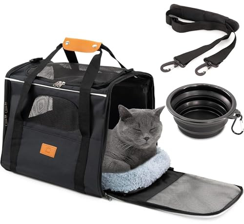Cool Paws Pet Carrier Bag for Cats & Small Dogs - Lightweight, Breathable Pet Travel Bag with Mesh Sides, Reinforced Frame, Removable Mat & Shoulder Strap for Secure Transport