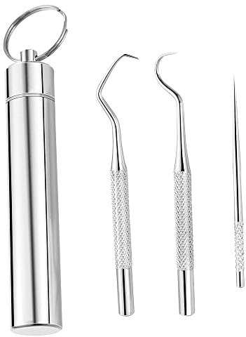 1Pcs Toothpick Holder with 304 Stainless Steel Toothpicks Set Reusable Titanium Toothpick Waterproof Metal Pill Box with Key Chain Travel Toothpick In Case for Outdoor Activities and Travel