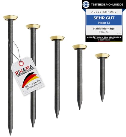 RIKAMA® – 100 Bildernägel – Stahlnägel für den Einsatz auf Beton, Ziegelstein, Putz & Holz – Nägel aus gehärtetem Stahl als Bilder Aufhängung – Made in Germany (Gold mit Halter, 100er Mix)
