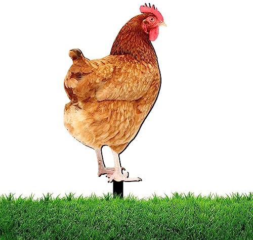 PW TOOLS Patio Pollo | Estatua jardín gallina acrílico,Señal estacas Aves Corral, Enchufe Tierra, Estatua Gallo Realista para césped, Patio, Patio Patio