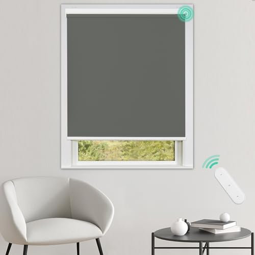 Allesin Stores Enrouleur Occultant Électriques avec ou sans Perçage, avec Moteur & Télécommande, pour fenêtre ou Porte, 100% Protection Solaire, Gris Foncé 45 x 100 cm (l x L)